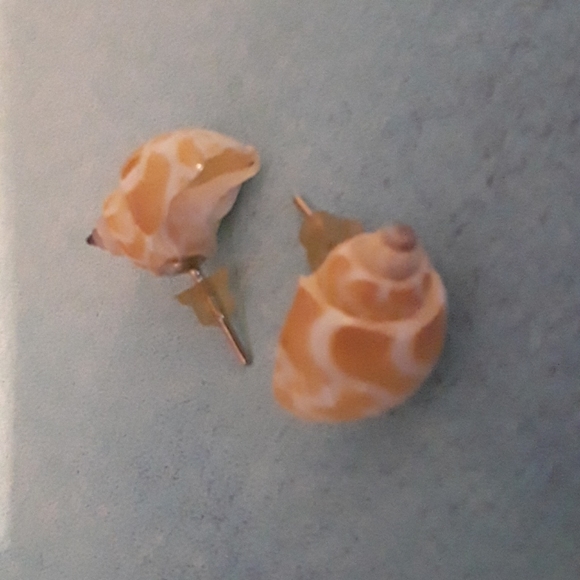 Conch seashell pierced earrings - Picture 3 of 3